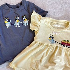 Bluey girls tee shirt and ruffle top